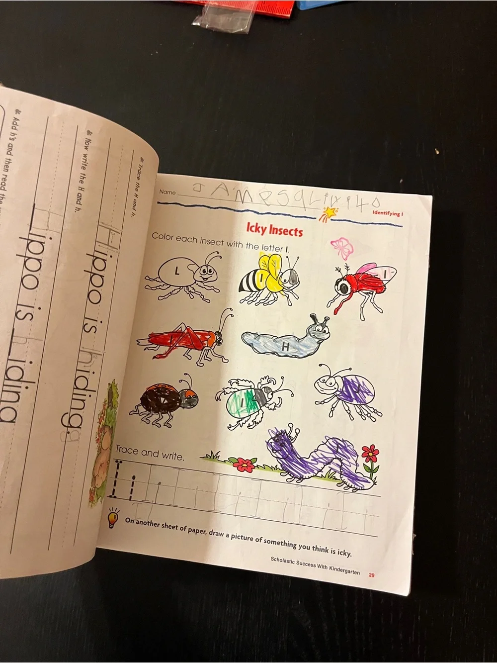 Scholastic Success With Kindergarten Workbook Purple Paperback 📚